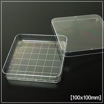 10ea 사각 배양 실험용 PS 눈금 샬레 접시 에듀 체험 화학실험 학교 원리 생물 교육 세균 세포 실험실
