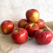 빨간 달콤새콤한 홍로 사과 가정용 실속형 3kg / 부사 / 아오리 / 요까, 꿀뚝둑 홍로 사과 실속형 3kg (19-21과), 1개