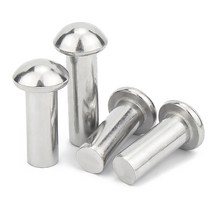 라운드 솔리드 리벳 매끄러운 표면 M0.8 M1 M1.2 M1.4 M1.6 M2 M2.5 크기 녹아웃 리벳 방청 패스너 304 스테인레스 스틸 100pcs, 6mm