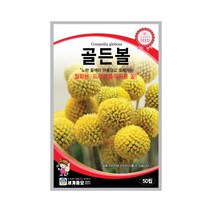 모칸도 세계종묘 꽃씨앗 골든볼 50립