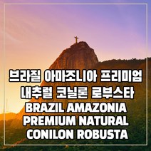 (커피생두) 321 브라질 아마조니아 프리미엄 내추럴 코닐론 로부스타 1kg, 1개