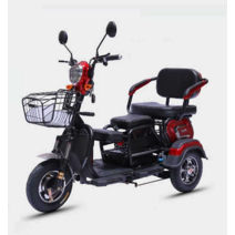 세발오토바이 전동 자전거 삼륜차 다인승, 48V12 납산 배터리 + 충전기
