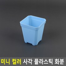 미니 사각 플라스틱 컬러 화분 소형 어린이집 화단 꾸미기 체험 교구 다육이 7x8cm 소 블루