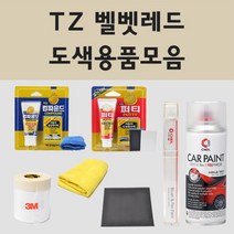현대 TZ 벨벳레드 주문 자동차 차량용 붓펜 스프레이 카페인트 도색 제네시스 제네시스BH, 02.스프레이: TZ 벨벳레드