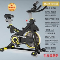 실내 바이크 사이클 실내용 홈쇼핑 자전거 블루 캐슬 스피닝 홈 스포츠 운동 초저소음, 옐로패키지 설치 마그네틱 컨트롤 뮤트전자시계스마트