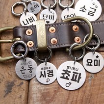 (고리형) 써지컬 펜던트에 귀여운 아이콘과 꾸밈말 등을 깊게 각인하는 강아지 인식표 강아지 이름표, 2.5cm, D