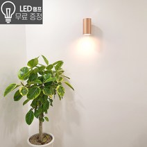 라인조명 트루디 원통1 2등 벽등 LED램프포함 주광 전구색 외부벽 방수벽등 벽조명, 원통1등 그레이 램프포함(전구색 노란빛)