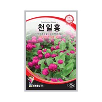 모칸도 (무배)세계 천일홍 꽃씨 100립