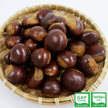 공주 정안 옥광밤 2kg 4kg (중 대 특 사이즈), 옥광밤(중) 4kg, 1개
