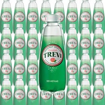 롯데칠성 트레비 자몽 300ml 20펫 탄산수 탄산음료, 04.트레비 (플레인) 300ml x 2
