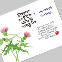 그레이스 엽서전도지_2-1 예수님을 만나보세요(엉겅퀴), 2000매