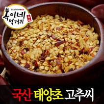 복이네먹거리 국산 고추씨, 1개, 국산 태양초고추씨(양근) 500g