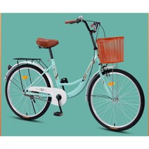 클래식 자전거 입문용 출퇴근 가성비 두발 일반 2인승 성인, 단일, 22인치, C