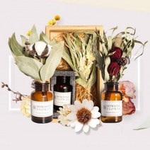 바보사랑 My Whole Flower 드라이플라워+화병 갈색시약병 선물포장.미트라샵, 물망초+화병