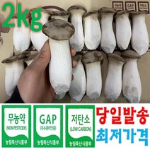 도담농산 새송이버섯 2kg 당일수확 당일발송, 미니새송이2kg