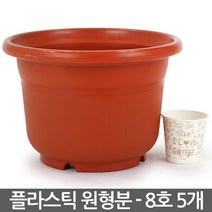 플라스틱 둥근 화분 7호 5개 - 플분 원형 중형화분 둥근화분 인테리어화분 실내화분 거실화분 베란다화분 매장화분, 03_성진_원형화분(8호) X 5개