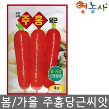 주홍 당근 씨앗 4g 봄 가을 전용 당근 종자, 주홍당근씨앗, 주홍당근씨앗