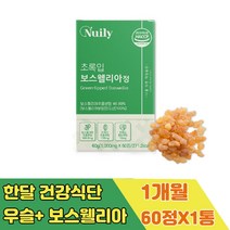 한달 인도 보스웰리아 덩어리 어르신 건강 선물 추천 고농축 수액 파는곳 KBA 프랑킨센스 캡슐 시니어 실버 노인 노년 중년 중장년 여성 여자 남성 남자 보스벨리아