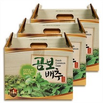 엄마에손 엄마애손 국산 곰보배추 먹는법 추출액 즙 60p 3개 (7123232), 플라보노이드풍부한건강엑기스