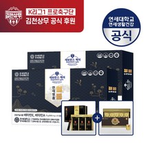 연세생활건강 혈통 연세명품 144캡슐 부원료 송침유98% 함유 솔잎 적송유 식약처인증, 2개, 상세정보참조