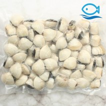 바다더해 냉동 백합조개 1KG 해감 백합 탕 파스타 봉골레, 백합1KG