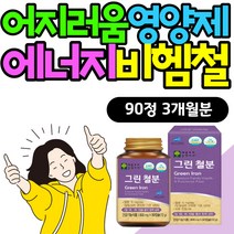 여성 어지러움 철분 부족 영양제 에너지 생성 비헴철 임산부 여자 임신 초기 중기 저장철 페리틴 생리 전 후 혈액 월경 비햄철 천연 유산균 자연유래 헤모글로빈 산모 출산후 산후 필수