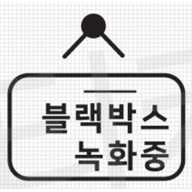 블랙박스 녹화중 스티커 데칼 튜닝 쏘렌토 NF소나타 그랜져 코란도스포츠 모닝 아반떼HD QM3 스타렉스 YF 올뉴K7 더뉴코나 A6 포터2 제네시스 SM5 MQ4, 오렌지, B타입