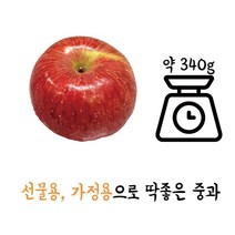 영월 영특한 사과 10kg 선물용 가정용 제수용, 쿠팡 1