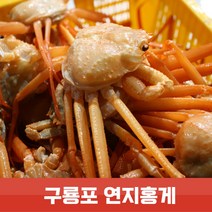 연지홍게 2.5kg 10~12미 찜발송 자숙 산지직송 라면용 육수용 박달형 포항 홍게 가성비, 일반형 (7미)