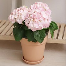 물빠짐구멍 화분받침 토기느낌 거실화분 방꾸미기 카페장식 장식품, 라이트브라운