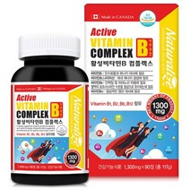 활성 비타민 B군 컴플렉스 90캡슐10+ 사은품 캐나다 고농축 고함량 건강기능식품 선물 비타민 엽산 비오틴 나이아신 판토텐산 활력 혈액 타우린 체력 여성 노인 가족 남성 스트레스, 90캡슐, 1300mg