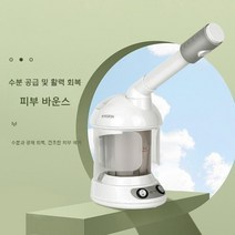 헤어스팀기 헤어케어 관리 지루성 두피염 트리트먼트 머리 얼굴 스팀기 미스트기, 2328c