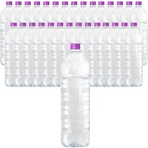 몽베스트 무라벨 2L 30개 생수 워터 대량 물