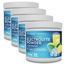 닥터베르그 전해질 파우더 칼륨 핑크히말라야솔트 레몬에이드 드링크믹스 319g Dr. Berg Nutritionals Electrolyte Powder, 4개