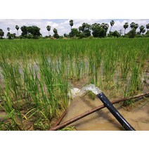 수중모터펌프 가압펌프 물 모터 수압 물빼는 펌프 DC 48V 태양 전지 패널 펌프 가격 400W 30M 100 피트 시, 한개옵션0