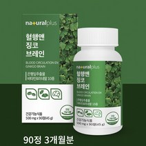 플러스 혈행 앤 징코브레인 90정 플라보놀배당체 활력 기억력 혈행 개선 증진 건강 관리, 90정 3개월분