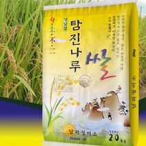 당일도정 2022년 전남 장흥 남외정미소 쌀 찹쌀 현미 오분도미 20kg, 1개, 쌀20kg