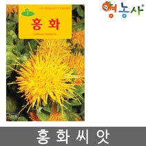 홍화씨앗 100립, 홍화, 홍화