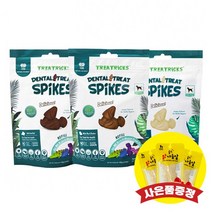 네츄라 너리쉬 덴탈트릿 리필 32P (소고기맛닭고기맛우유맛오리+인섹트) (+랜덤간식), 소고기맛 32P +랜덤사은품