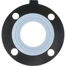 EPDM+테프론 GASKET FF 20A
