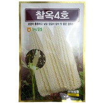 흰찰옥수수씨앗 150립/250립/찰옥4호 찰옥수수종자, 250립, 1개