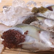 속초시 수협 알도루묵 20마리 탱글탱글한 알이 맛있는 생선, 1