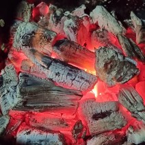 [정글사운드북맹그로브] 300g 한방에 착화숯 캠핑 참숯 구이용 화로숯 착화탄 맹그로브 한방에참숯 캠핑 바베큐숯 불멍 업소 식당, 단품