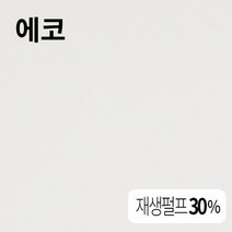 더몰코리아 에코지 112g 122g 145g 174g 203g 222g 251g, B5-180매 (크기 182 x 257mm)