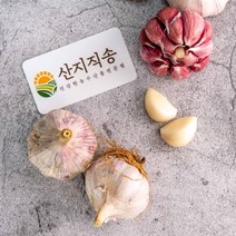 국내산 서산마늘 한접 중 100개