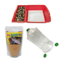 다슬기 채집통 피라미 비닐 어포기 올갱이 잡는도구 떡밥 미끼 파리 도깨비 낚시 채비 세트, 02-2.견지대+WB-26파리세트