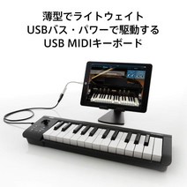 KORG 스테디셀러 USB MIDI 키보드 microKEY-25 음악 제작 DTM 공간 절약으로 집 제작에 최적 시작할 수 있는 소프트웨어 라이센스 포함 25 열쇠, 상품명참조, 상품명참조