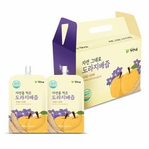 자연그대로 스파우트 도라지배즙 (총120팩 100ml ×1팩), 단품