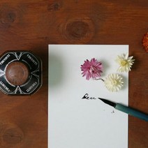 [하이모리] 무즈앤뷰즈 디어 캘리그라퍼 [엽서 카드 편지지 종이엽서], A