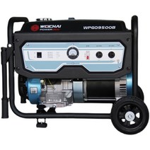 팔로우원 자가발전기 자가발전 무소음발전기 이동식 차박 가정용, 3KW 단상 220V 수동 WPGQ3500B